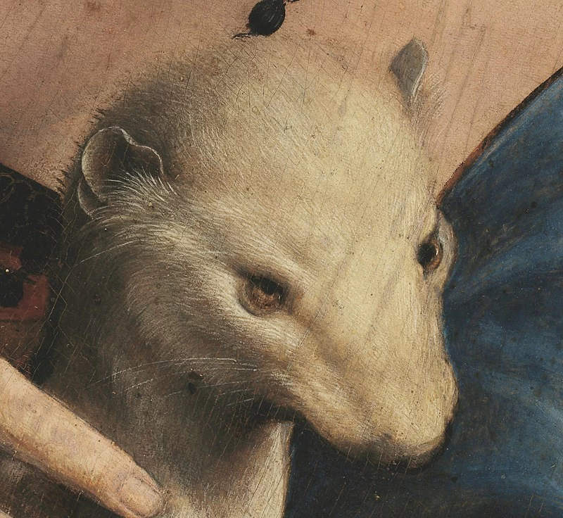 122-Dama con l'ermellino - Ritratto di Cecilia Gallerani-Czartoryski Museum, Cracow - dettaglio